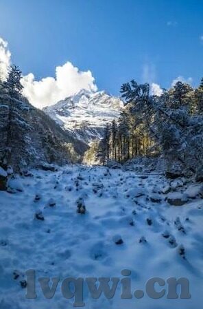 98碰碰碰人妻无码视频-探索网络世界的边界，理性审视网络内容与个人道德的界限