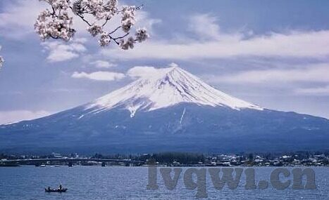 av日韩wuma-探索日韩AV文化中的Wuma现象，文化、艺术与个人视角的交融