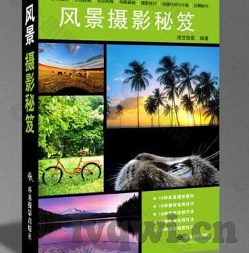久久精品国产亚av麻豆-