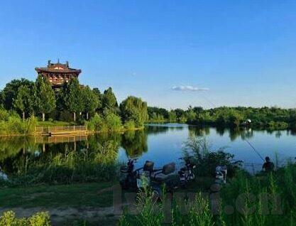 帕帕视频麻豆-帕帕视频与麻豆的幕后，一场虚拟狂欢的舞动